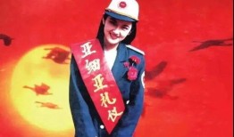 网上商务版汽车啥意思(商务车平台app)