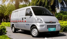国产商务电瓶汽车价格(电功商务车)