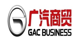 飞帆商务汽车官网(飞帆科技有限公司)