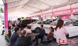 安阳商务局汽车补贴(安阳商务局汽车补贴公示名单)