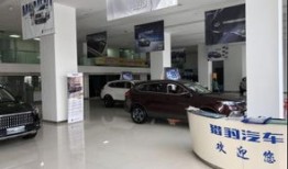 汽车直营店商务政策(车企直营店)