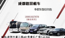 阜阳汽车租赁商务车(阜阳租车公司价目表)