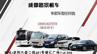 阜阳汽车租赁商务车(阜阳租车公司价目表)