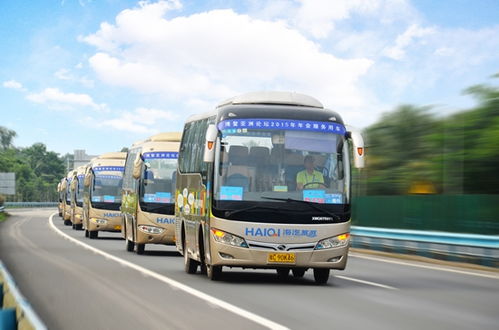 海汽客运的商务汽车(海汽客运的商务汽车是什么)