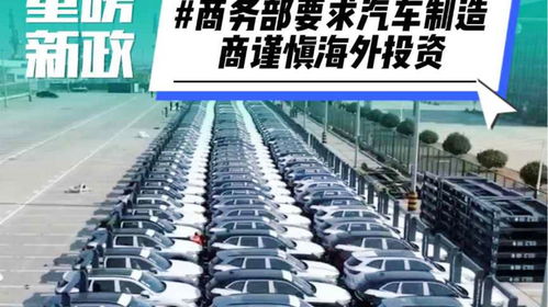 2023商务部汽车政策(商务部优化汽车限购)