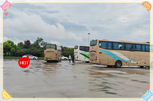 太仓汽车站商务专车(太仓汽车客运)