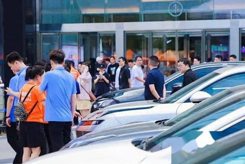 2023商务部谈汽车(商务部关于对汽车产业)